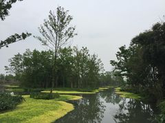 -桤木河湿地公园