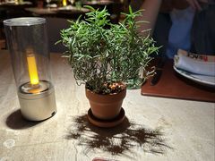 -Mammamia意大利餐厅(阳春巷店)