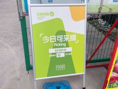 -菊园百果园