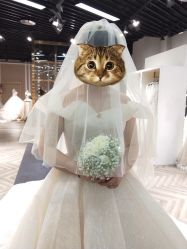 -Lady  Jane高端婚纱礼服馆