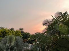 -惠州金海湾嘉华度假酒店