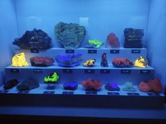 -湖南省地质博物馆