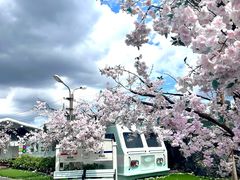 -Blue Concept Cafe&Farm·關於藍
