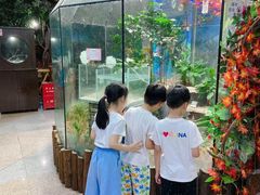 -上海大自然野生昆虫馆(东方明珠·爬宠昆虫探索中心)