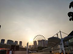 -重庆市奥林匹克体育中心-游泳跳水馆