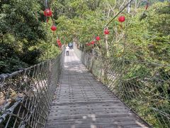-海南热带雨林国家公园吊罗山景区