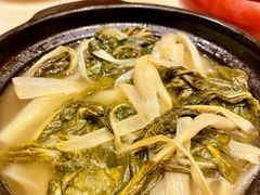 煲淋白菜-沙龙酒家