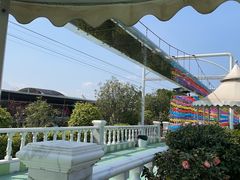 -百万葵园