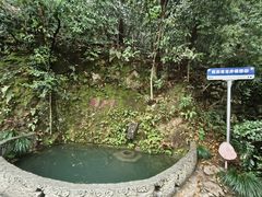 -十八棵（老龙井）御茶园(老龙井店)