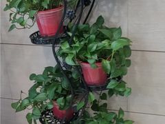 -红菜坊·烤鸭·川鲁宴(石园店)
