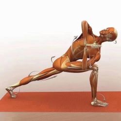 -加帕瑜伽培训学院