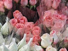 -循礼门鲜花花市(武汉循礼门店)