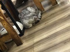 -清真海鲜大排档(原芥园道店)