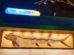 -正佳自然科学博物馆