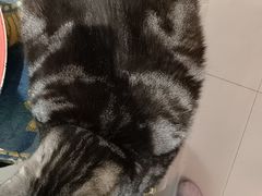 -平行世界·猫咖(首经贸店)