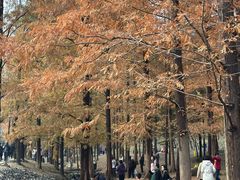 -白水寺森林公园