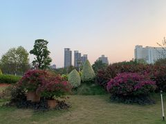 -文华公园(禅城区)