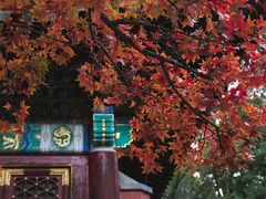 -香山公园