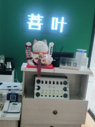 -菩叶脱发白发中心