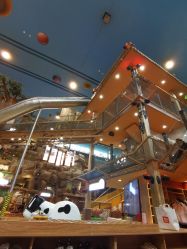 点击看大图 -卡通尼·Safari非洲探索乐园·生日会(金桥国际商业广场店)