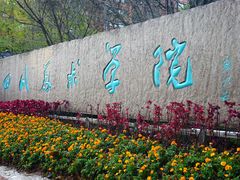 -黄桷坪涂鸦艺术街