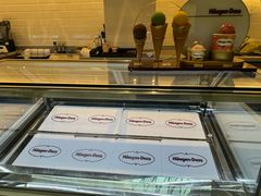 -哈根达斯(新都汇店)