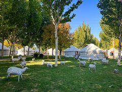 -九十九顶毡房(阜石路店)