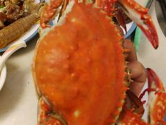-春华海鲜城(广场西苑店)