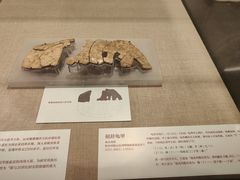 -北京大学赛克勒考古与艺术博物馆