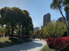 -南翔镇银翔湖公园