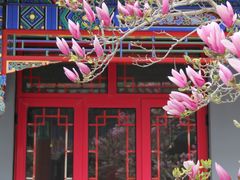 -天津大悲禅院