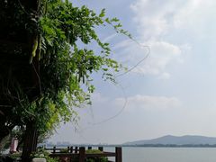 -望海·帆船主题咖啡厅•品茗下午茶(石湖景区店)