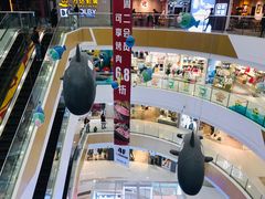 -上海颛桥万达广场