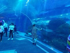 -成都浩海立方海洋公园