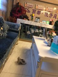 -悦芳庭美肤美体品牌集合店