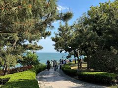 -燕儿岛山公园
