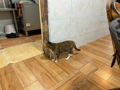 -惠康汤粉店(惠新中街店)