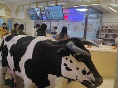 -红星前进面包牛奶公司(君太店)