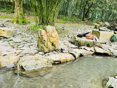 -兰亭风景区