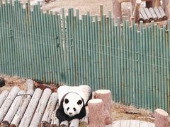 -沈阳森林动物园