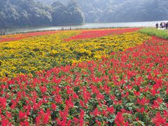 -广州市石门国家森林公园