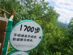 -大岭沟猕猴桃谷风景区