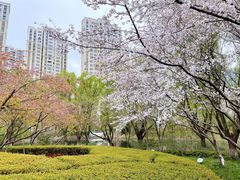 -白塘生态植物园