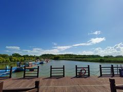 -大湾区中央湿地公园