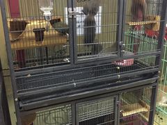 店内环境-宝鸡东道花鸟鱼虫市场(吉利花园商场店)