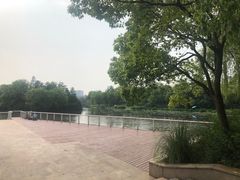 -新江湾城公园