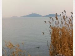 -上海市保健医疗中心