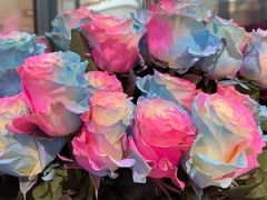 -ROSEONLY诺誓(广州K11店)