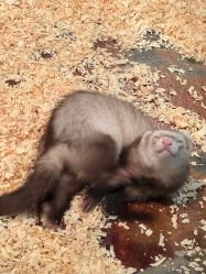 -Zoolung Zoolung动物主题公园(海信广场店)