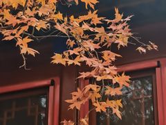 -大觉寺-停车场